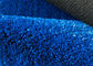 ПЭ Фибриллатед 10 Инфилл Кроссфит 8800 Дтекс травы спортзала мм голубой искусственный не поставщик